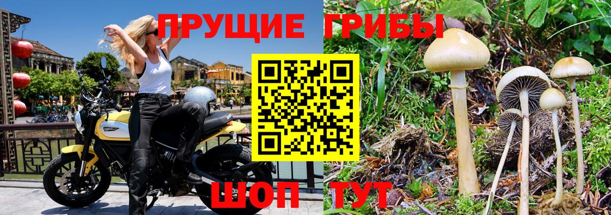 Псилоцибиновые грибы Psilocybe  как найти закладки  Галлюциногенные грибы MAGIC MUSHROOMS  Людиново  Вход с VPN 