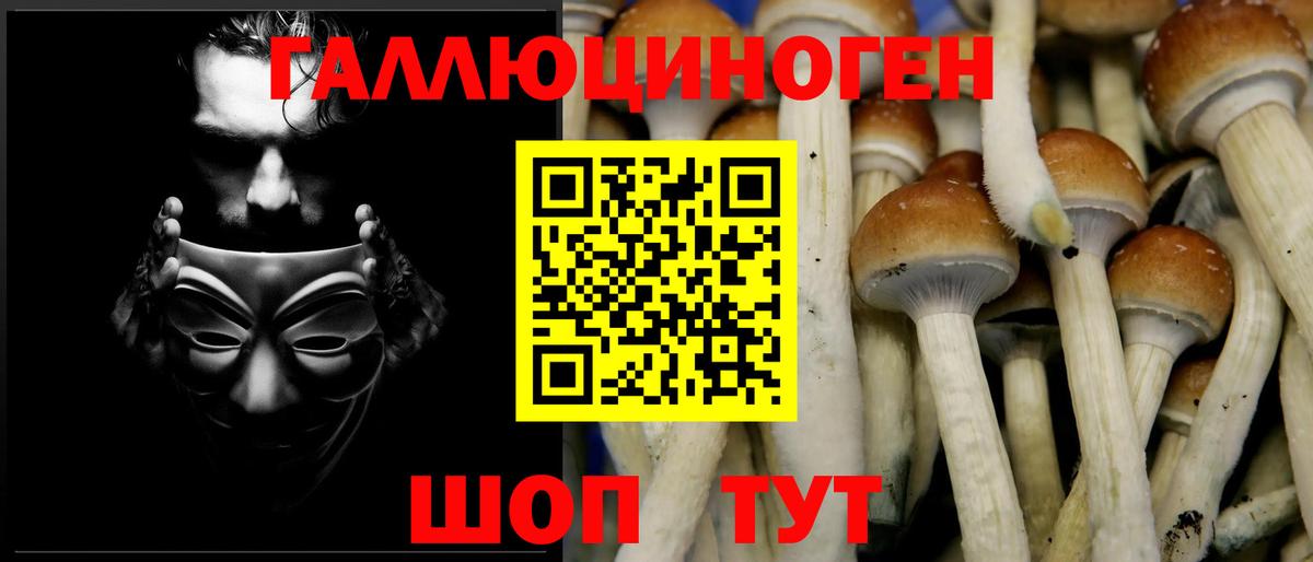 Галлюциногенные грибы MAGIC MUSHROOMS Людиново
